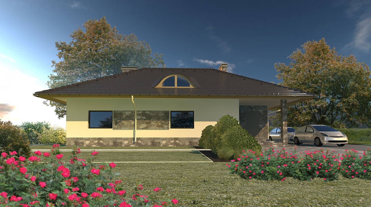 Проект 1 этажного дома с террасой АN