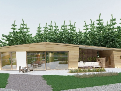 Проект дома 1 этажного деревянного с террасой DI-2