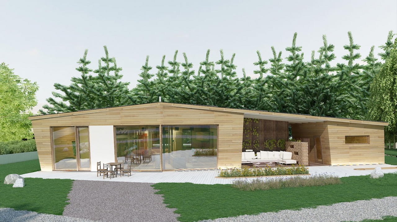 Проект дома 1 этажного деревянного с террасой DI-2