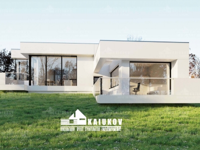 Проект дома хай-тек в 1 этаж на рельефе с террасой, плоской кровлей AND19